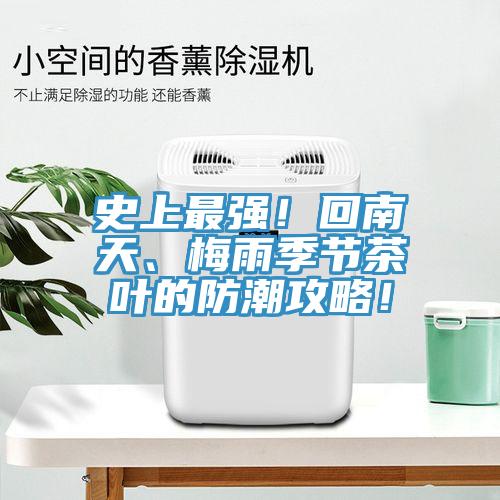 史上最强！回南天、梅雨季节茶叶的防潮攻略！