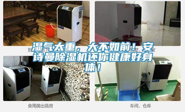 湿气太重，大不如前！操逼视频软件下载免费看操逼软件还你健康好身体！