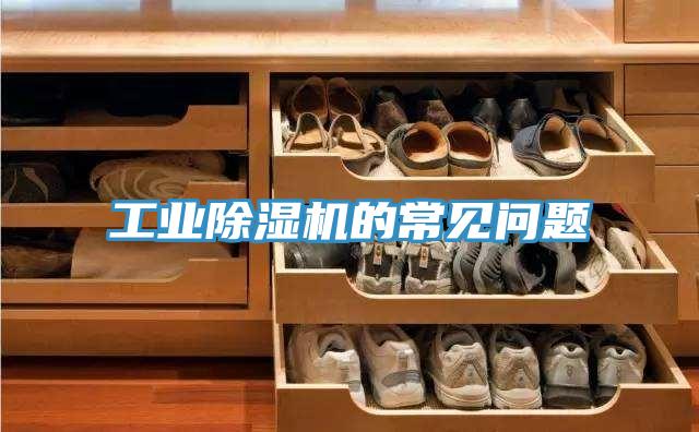 工业免费看操逼软件的常见问题