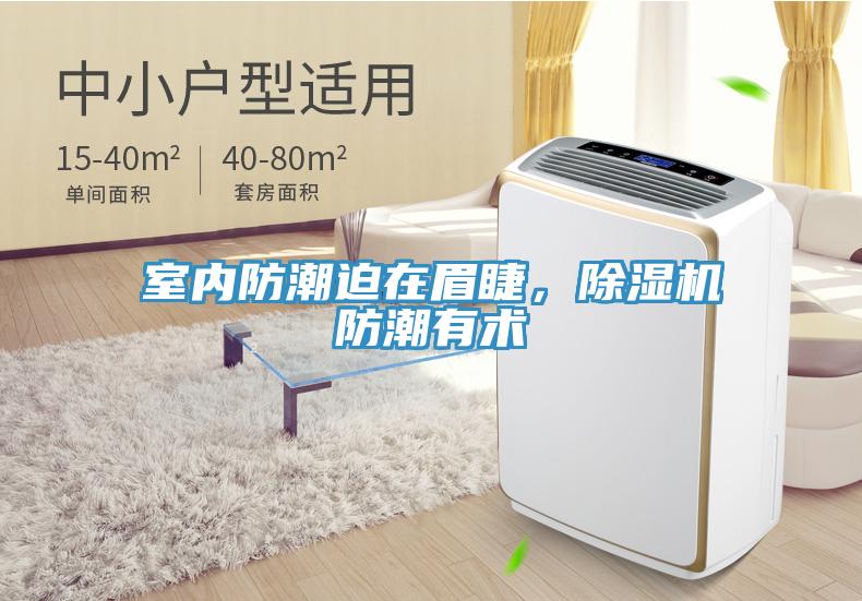 室内防潮迫在眉睫，免费看操逼软件防潮有术