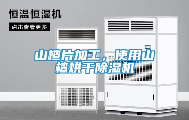 山楂片加工，使用山楂烘干免费看操逼软件