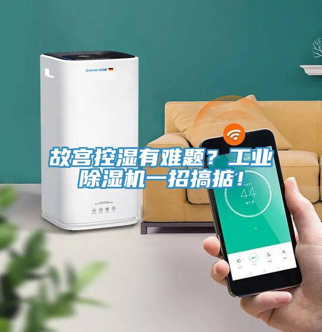 故宫控湿有难题？工业免费看操逼软件一招搞掂！