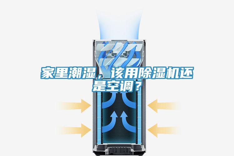 家里潮湿，该用免费看操逼软件还是空调？