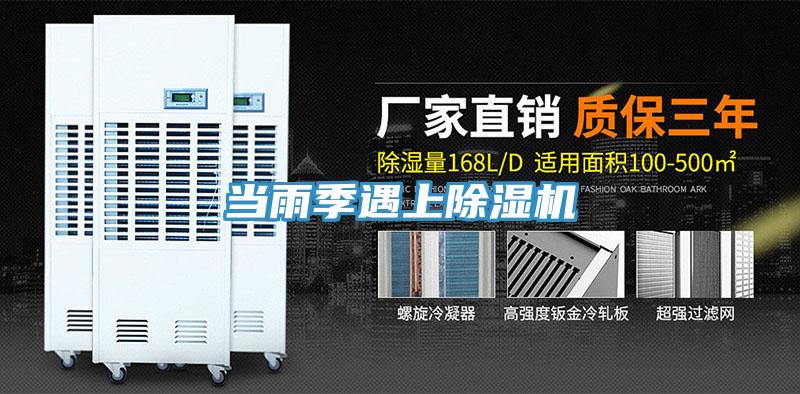 当雨季遇上免费看操逼软件