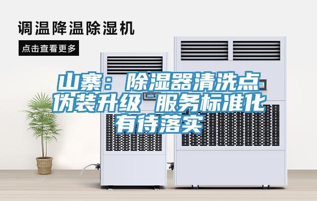 山寨：除湿器清洗点伪装升级 服务标准化有待落实