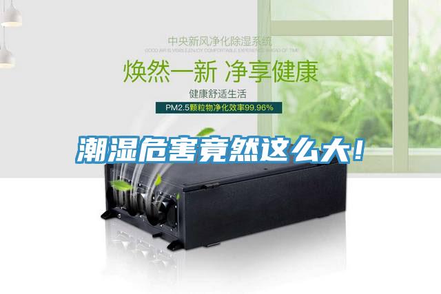 潮湿危害竟然这么大！