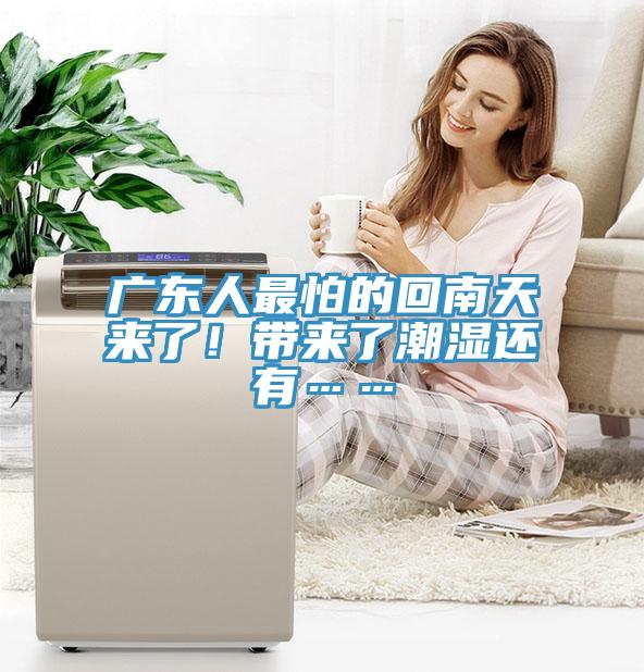 广东人最怕的回南天来了！带来了潮湿还有……