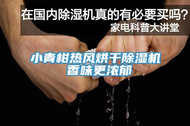 小青柑热风烘干免费看操逼软件 香味更浓郁