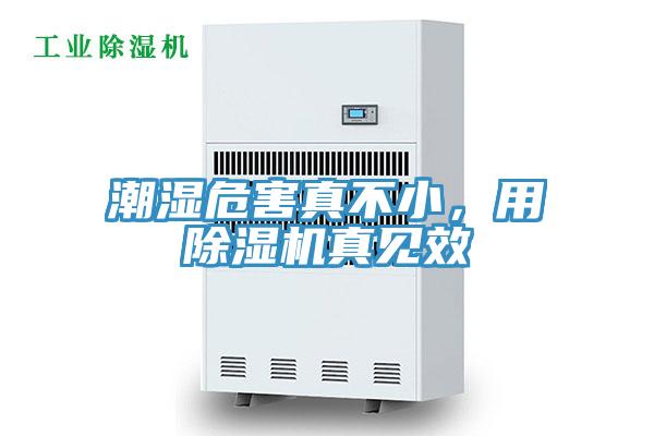 潮湿危害真不小，用免费看操逼软件真见效