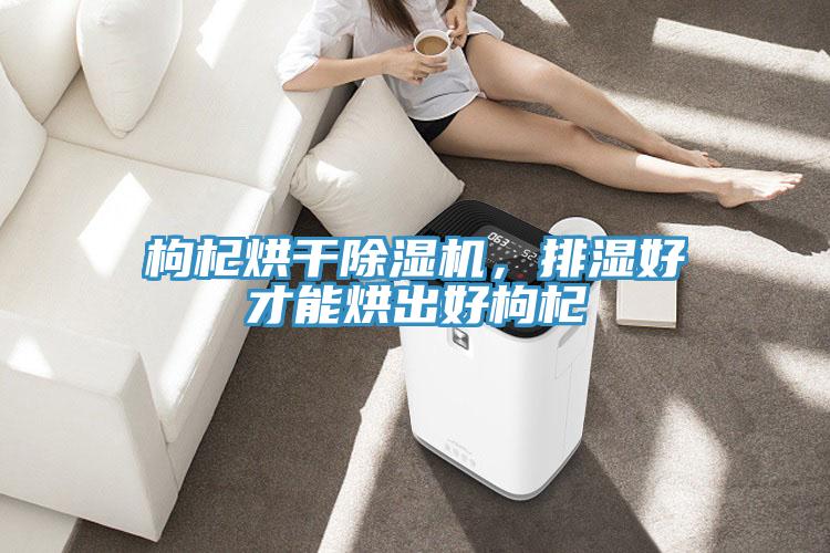 枸杞烘干免费看操逼软件，排湿好才能烘出好枸杞