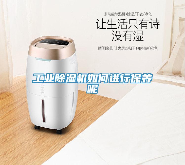 工业免费看操逼软件如何进行保养呢