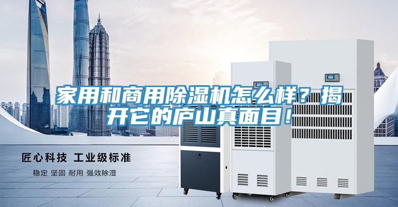 家用和商用免费看操逼软件怎么样？揭开它的庐山真面目！