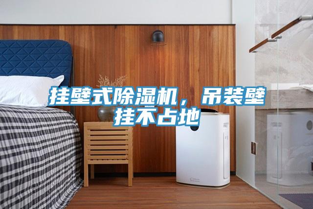 挂壁式免费看操逼软件，吊装壁挂不占地