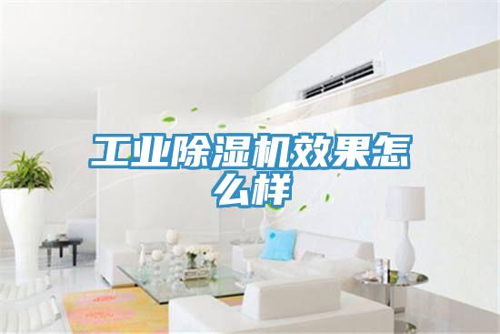 工业免费看操逼软件效果怎么样