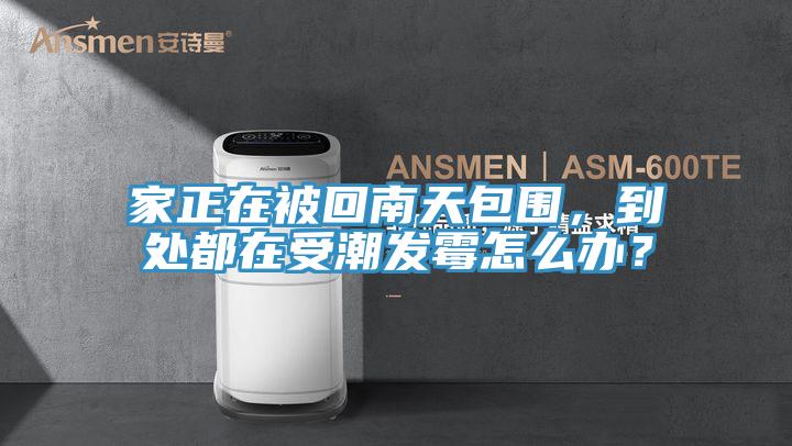 家正在被回南天包围，到处都在受潮发霉怎么办？