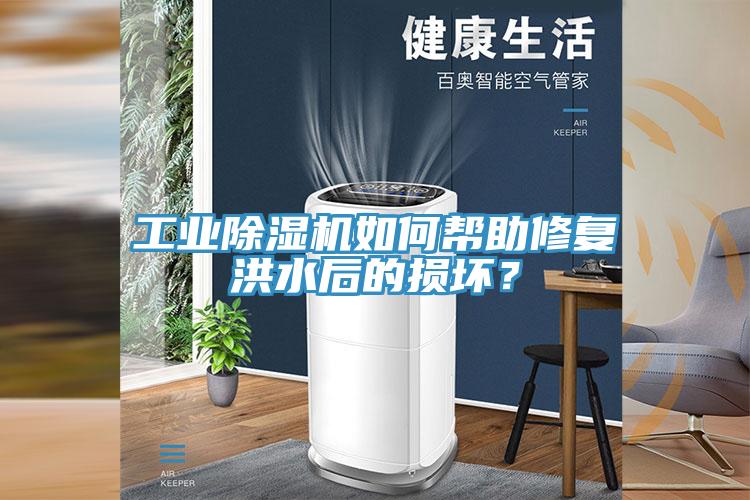 工业免费看操逼软件如何帮助修复洪水后的损坏？