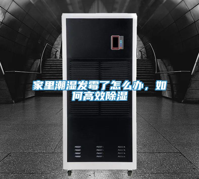 家里潮湿发霉了怎么办，如何高效除湿