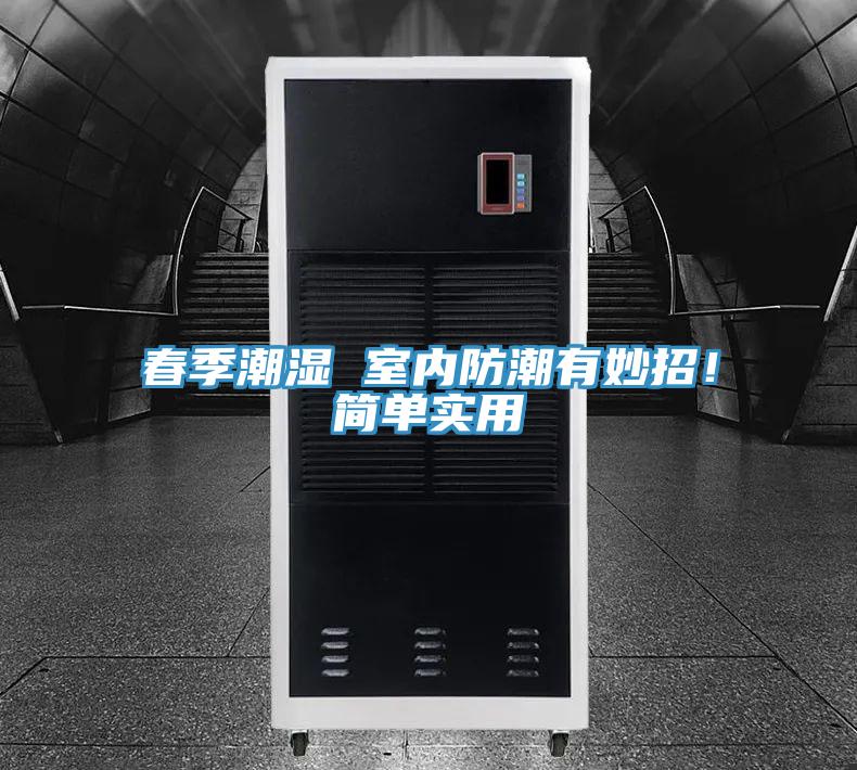春季潮湿 室内防潮有妙招！简单实用