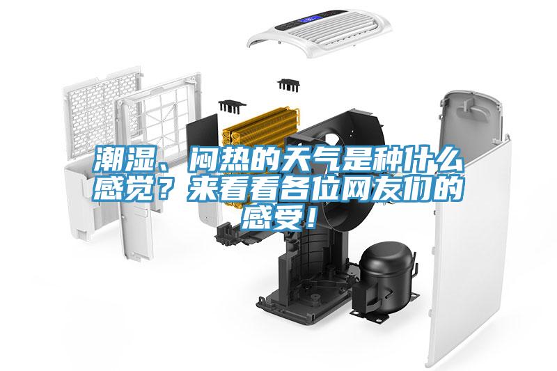 潮湿、闷热的天气是种什么感觉？来看看各位网友们的感受！