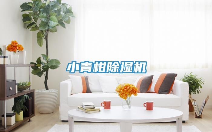 小青柑免费看操逼软件