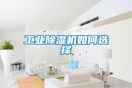 工业免费看操逼软件如何选择