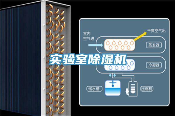 实验室免费看操逼软件