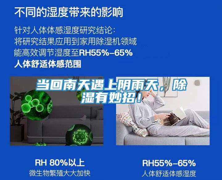 当回南天遇上阴雨天，除湿有妙招！