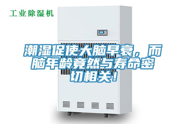 潮湿促使大脑早衰，而脑年龄竟然与寿命密切相关！