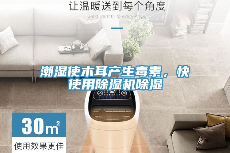 潮湿使木耳产生毒素，快使用免费看操逼软件除湿