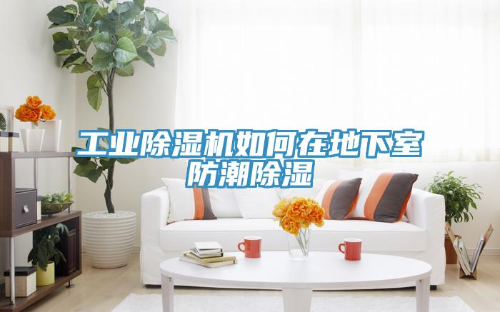 工业免费看操逼软件如何在地下室防潮除湿