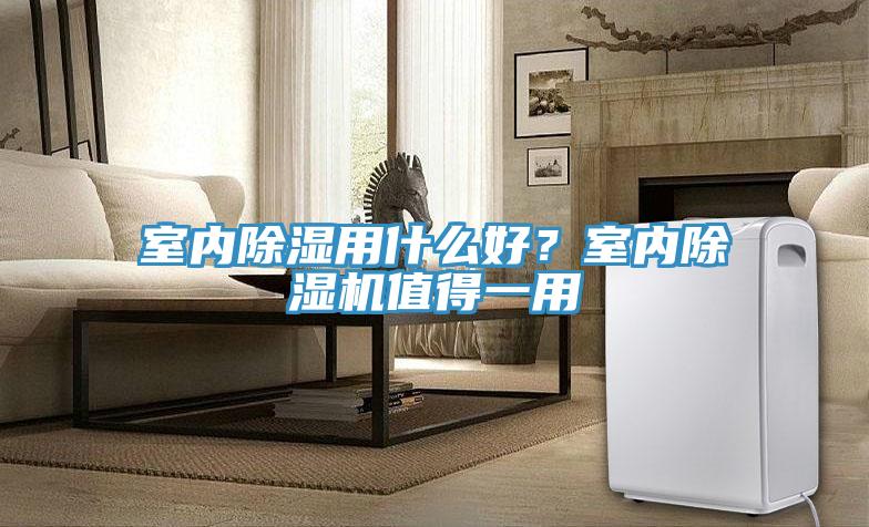 室内除湿用什么好？室内免费看操逼软件值得一用