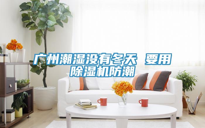 广州潮湿没有冬天 要用免费看操逼软件防潮