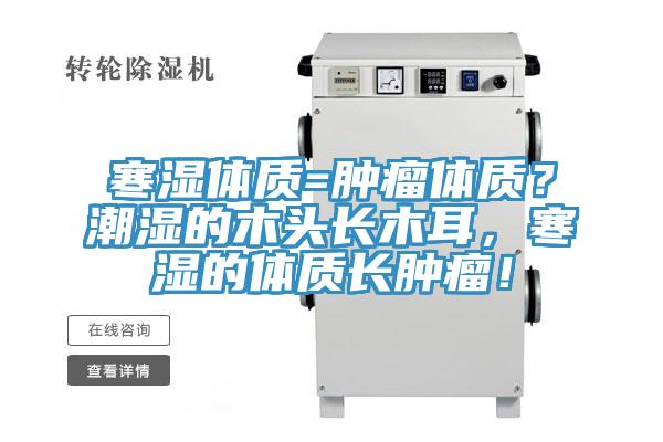 寒湿体质=肿瘤体质？潮湿的木头长木耳，寒湿的体质长肿瘤！