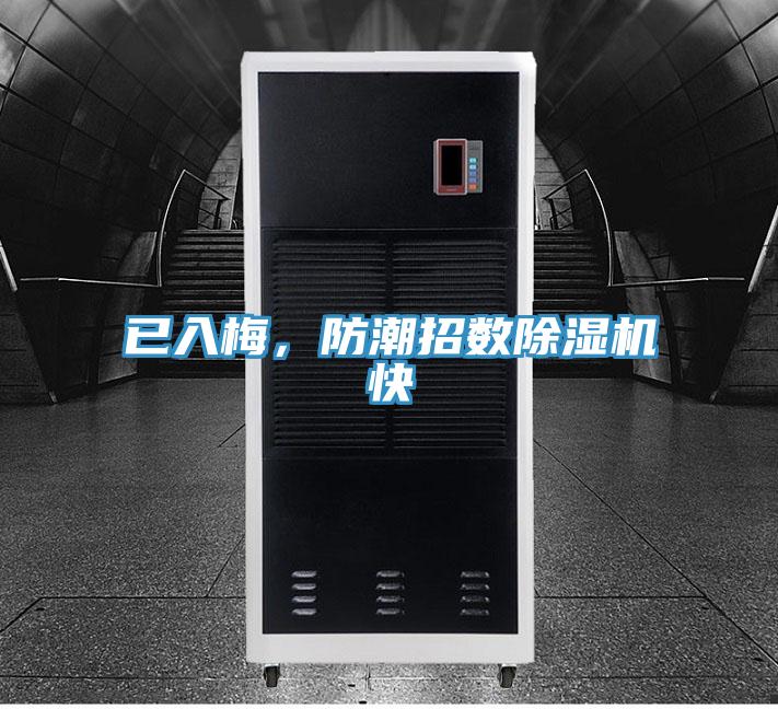 已入梅，防潮招数免费看操逼软件快