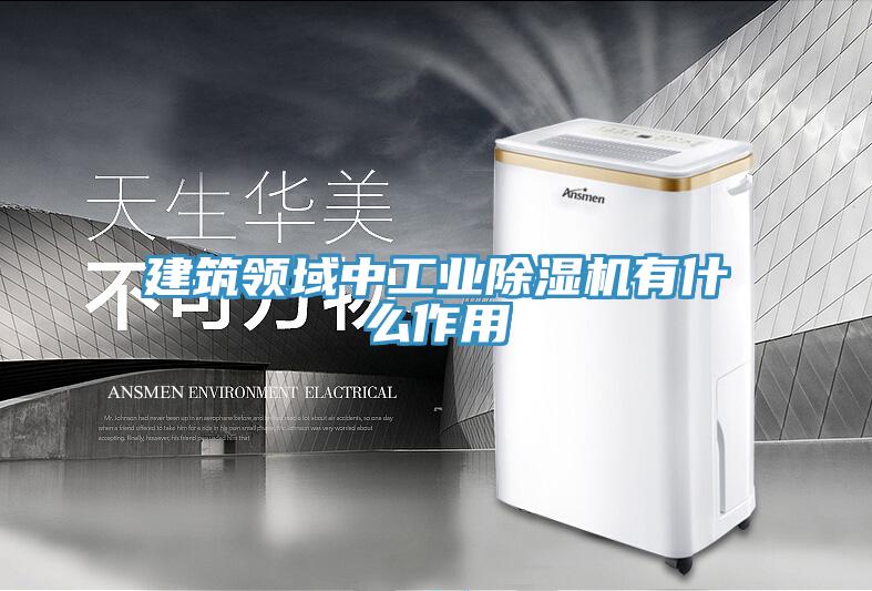 建筑领域中工业免费看操逼软件有什么作用