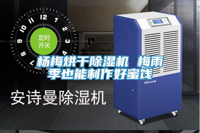 杨梅烘干免费看操逼软件 梅雨季也能制作好蜜饯