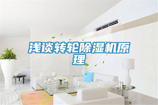 浅谈转轮免费看操逼软件原理