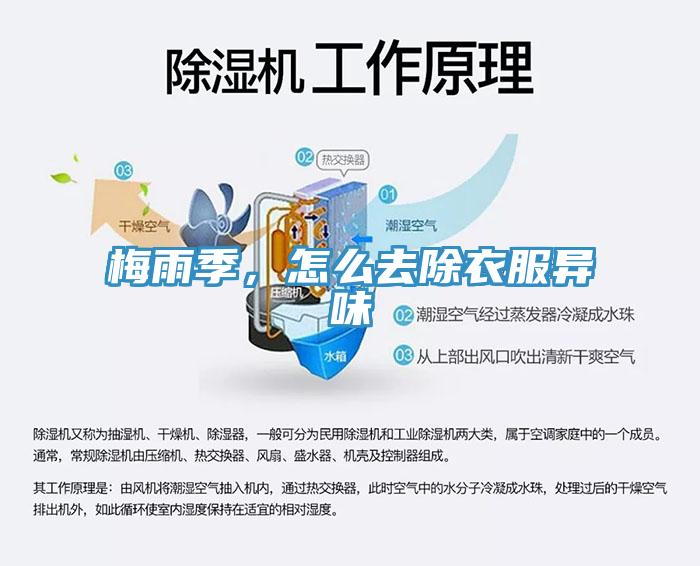 梅雨季，怎么去除衣服异味