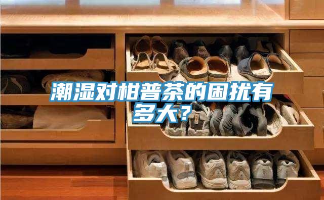 潮湿对柑普茶的困扰有多大？
