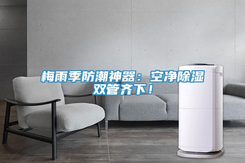 梅雨季防潮神器：空净除湿双管齐下！
