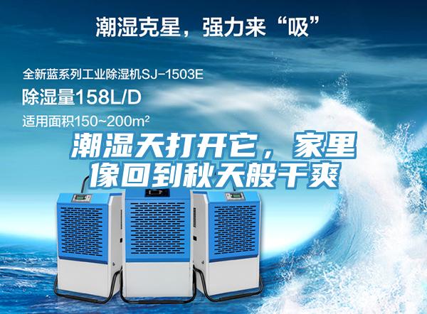 潮湿天打开它，家里像回到秋天般干爽