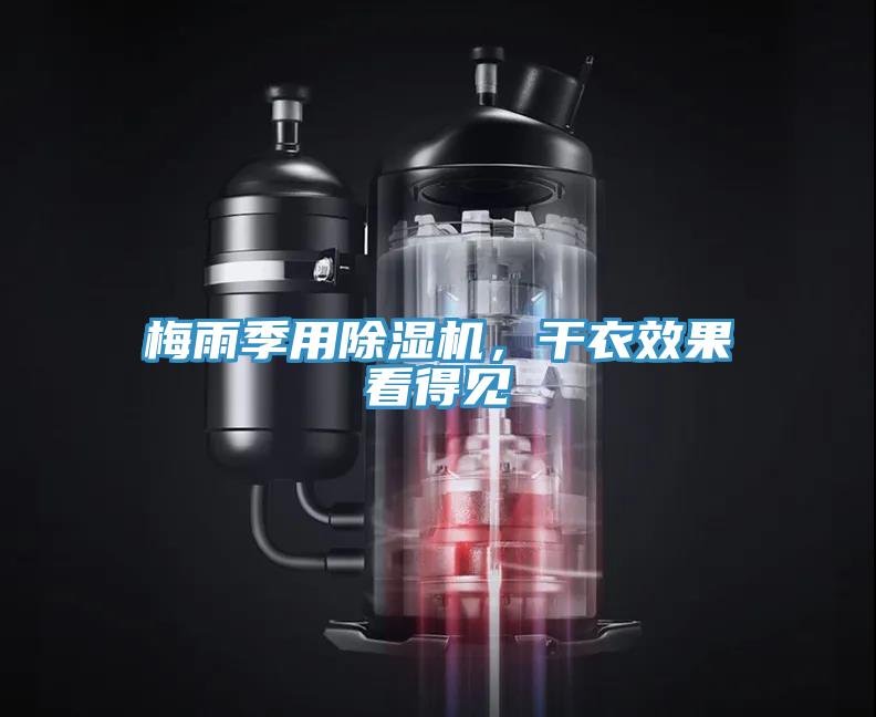 梅雨季用免费看操逼软件，干衣效果看得见