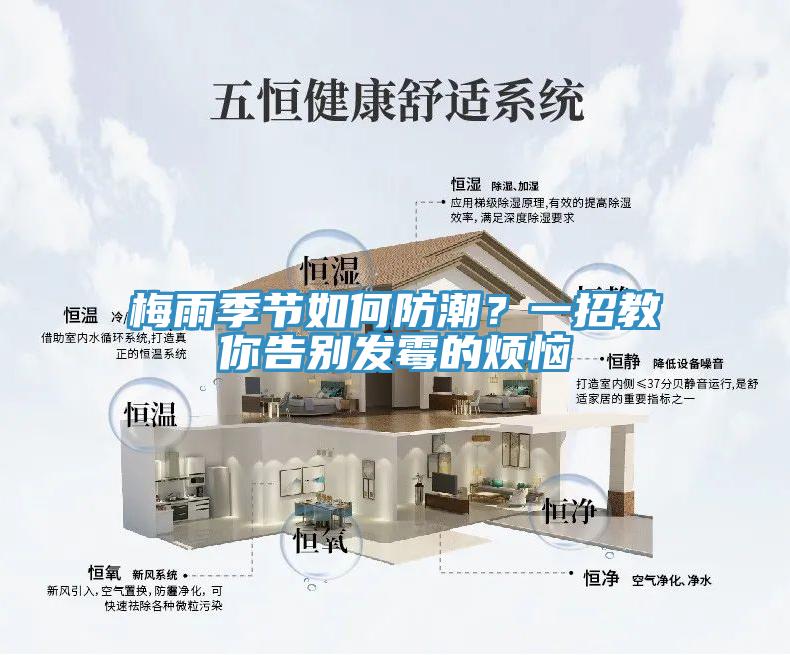 梅雨季节如何防潮？一招教你告别发霉的烦恼