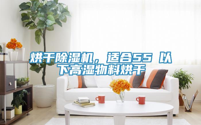 烘干免费看操逼软件，适合55℃以下高湿物料烘干
