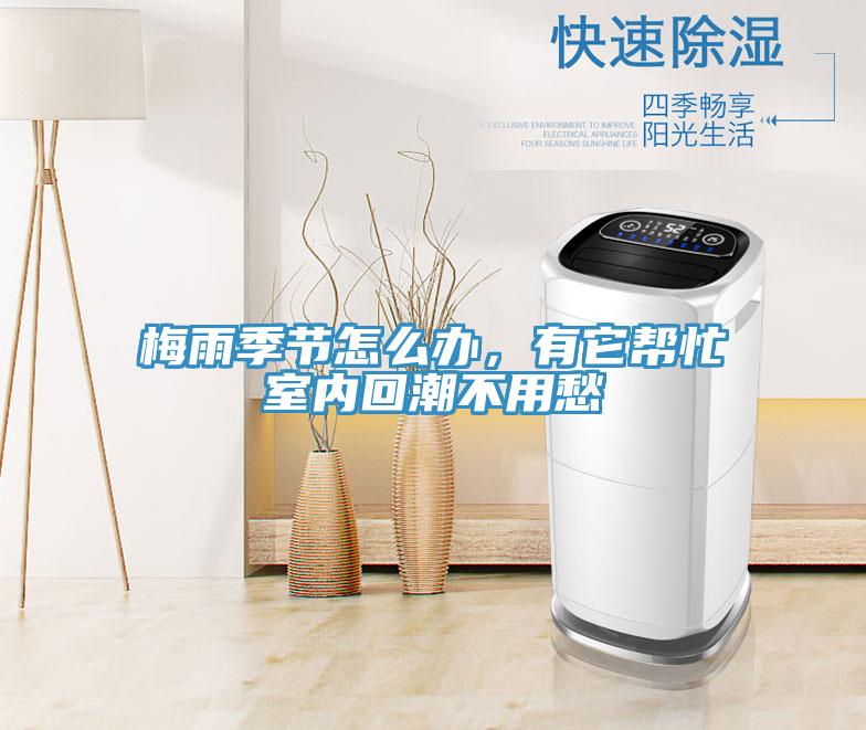 梅雨季节怎么办，有它帮忙室内回潮不用愁