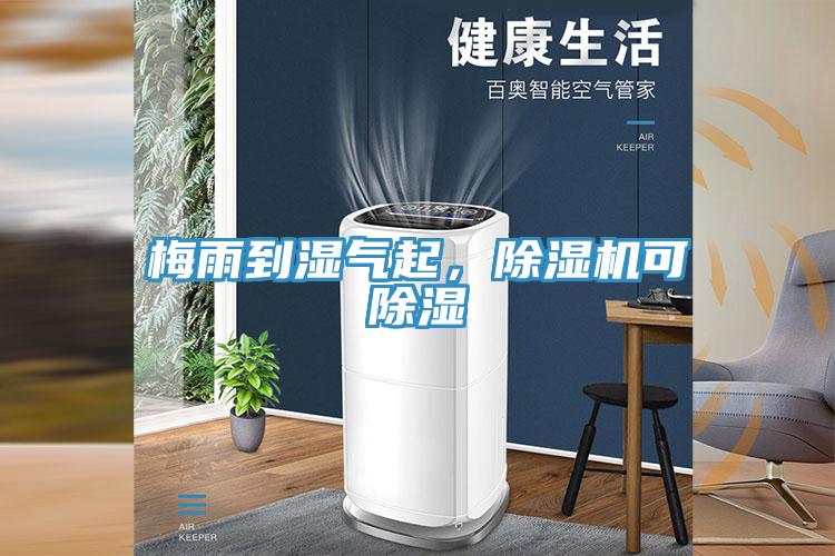 梅雨到湿气起，免费看操逼软件可除湿