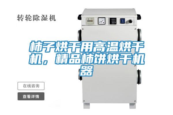 柿子烘干用高温烘干机，精品柿饼烘干机器