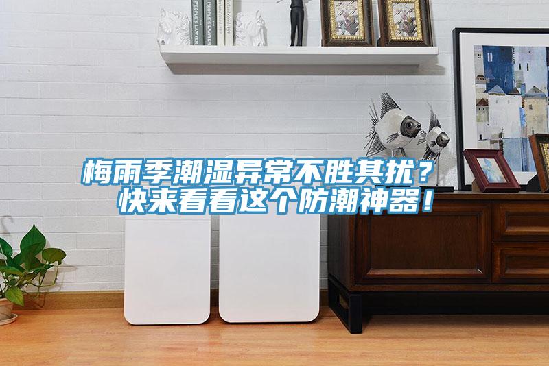 梅雨季潮湿异常不胜其扰？ 快来看看这个防潮神器！