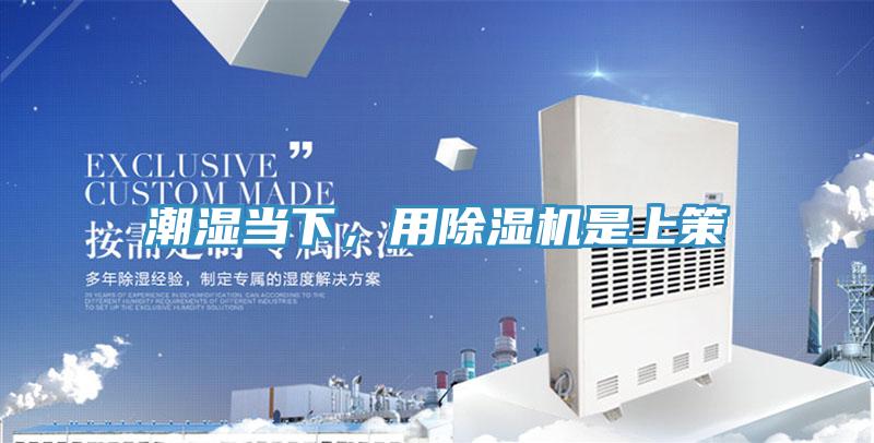 潮湿当下，用免费看操逼软件是上策