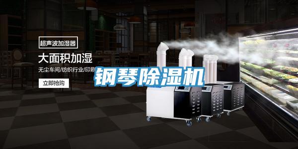 钢琴免费看操逼软件